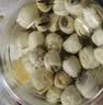 燕之坊广昌白玉贡莲子250g新鲜磨皮带芯干货百合莲子芯银耳羹无硫熏 实拍图
