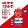 百威红罐啤酒淡色拉格330ml*24听整箱装京东自营新老包装随机发货 实拍图