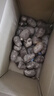 【东东农场专供】新鲜牛奶芋头现挖毛芋头香嫩爽滑奶油芋头小香芋 奶白芋头 2斤 带箱 中大果 实拍图