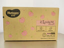 好奇（Huggies）铂金装小桃裤拉拉裤箱装XXXL64片尿不湿【夏季散热王】 实拍图