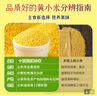 十月稻田 赤峰小米 1kg 内蒙古敖汉旗 黄小米杂粮 小米黄小米 新米 早 实拍图