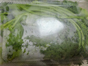 叶菜拼盘500g(菠菜叶+蒿子秆+生菜叶+娃娃菜) 实拍图