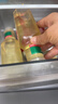 农夫山泉东方树叶绿茶500ml*15瓶无糖茶饮料0糖0脂0卡整箱装饮品 实拍图