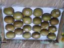 佳沛（zespri）新西兰阳光金奇异果10粒巨大果单果146-175g 猕猴桃水果礼盒 实拍图