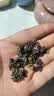 承道铭茶叶滇红金螺红茶2026新茶特级云南古树嫩芽蜜香型中秋礼盒400g 实拍图