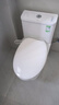 九牧（JOMOO）11173-2-1/31KD-3大力神家用马桶虹吸抗菌节水洁具305坑距 实拍图
