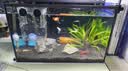 沃韦朗（VOONLINE）鱼缸灯水草灯LED全光谱草缸水族夹灯 【水草版】沃韦朗夹灯16W 实拍图