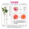 京东鲜花云南昆明基地随机色玫瑰鲜切花束买20枝送10枝鲜花源头直发 实拍图
