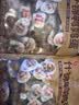 良品铺子什锦鹌鹑蛋450g卤蛋小包装64颗铁蛋即食盐焗卤味素食网红休闲零食 实拍图