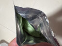 史丹利硫酸亚铁花肥料花用养花颗粒通用茉莉杜鹃栀子花专用肥铁肥100g 实拍图