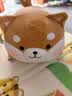 名创优品（MINISO）趣味阿柴弹力超柔趴姿公仔毛绒玩偶儿童玩具抱枕靠枕生日礼物女 实拍图