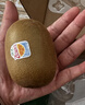 佳沛（zespri）新西兰阳光金奇异果10粒巨大果单果146-175g 猕猴桃水果礼盒 实拍图