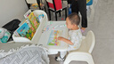 哈比树 儿童学习桌椅套装可折叠收纳架宝宝幼儿园专用玩具桌子画画写字 实拍图