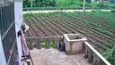 鸣胜家用监控摄像头手机远程监控器360度无死角带夜视全景语音室外无线wifi可对话户外防水旋转球机 实拍图