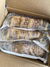 北纬47度花甜糯玉米4斤(200g*10根)东北甜黏鲜玉米棒真空包装 苞米低脂 实拍图