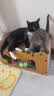 萌嘟星宠 猫抓板猫窝猫玩具猫沙发别墅立式带小球磨爪猫咪用品 猫耳朵款 实拍图