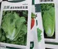 北蔬各种蔬菜种子秋黄瓜菠菜小白菜香菜小葱阳台四季菜籽12种蔬菜种子 实拍图