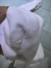 浪莎夏季薄款袜子女100%纯棉2026新款爆款全棉网眼透气防臭白运动夏天 【5双白色】·100%纯棉超薄 均码 (对应35-40鞋码可穿) 实拍图