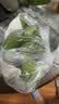 广西网红小米蕉青香蕉发货密封放熟吃新鲜水果皮薄肉厚 净重3斤青蕉发货 实拍图
