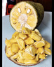 京鲜生海南菠萝蜜 20-25斤 净重20斤+  生鲜水果 源头直发 实拍图