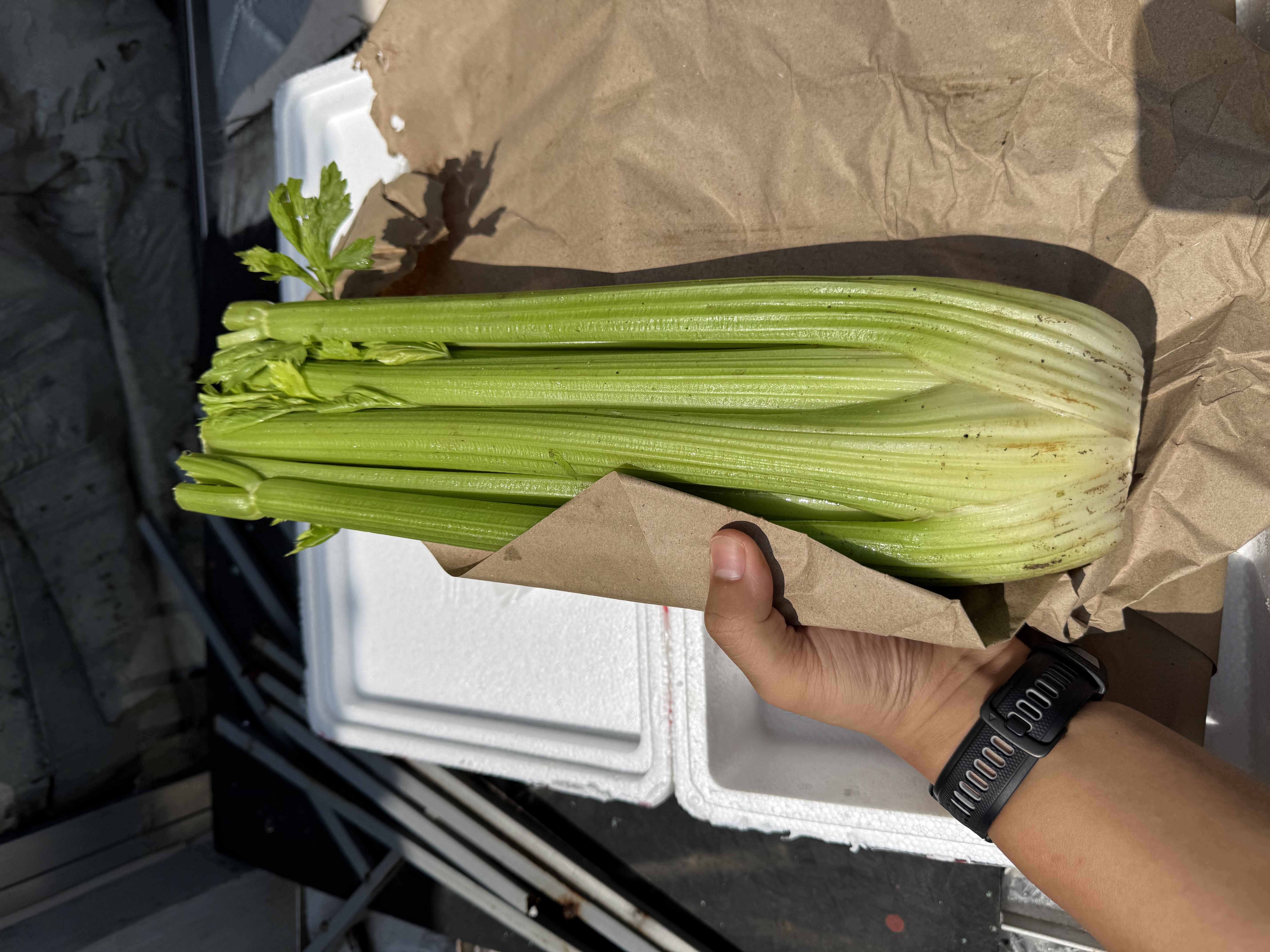 京鲜生山东新鲜大西芹净重4.5斤榨汁现挖芹菜鲜嫩蔬菜 去半叶源头直发 实拍图