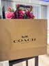 蔻驰（COACH）【品牌直供】女士NOLITA19小号手提麻将包CW426奶茶拼白色礼物 实拍图