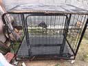 腆宠狗笼狗窝狗笼子大型犬中小型犬带厕所猫笼家用室内宠物笼子狗围栏 实拍图