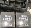 超威（CHILWEE）童车电瓶6V4AH4.5儿童三轮甲壳虫摩托四轮汽车6V玩具电子秤蓄电池 实拍图