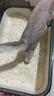 倔强尾巴原味低粉尘豆腐猫砂Max新升级 双效除臭持久无尘低敏 2.5KG*4袋 实拍图