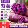 紫罗兰红薯沙地现挖紫薯宝宝辅食紫芋头山芋苕粗粮新鲜包邮 紫薯3斤大果 优选款 实拍图