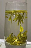 第一江南2026新茶绿茶西湖龙井明前特级150g茶叶礼盒装杭州产区高端送礼物 实拍图
