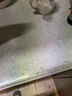 鲁花【保真菜籽油】食用油 低芥酸特香菜籽油 900ml 物理压榨  实拍图