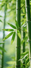 东北制药 维生素C片100mg*100片增强免疫力+双鲸维生素E软胶囊100mg*60粒/盒不孕症辅助治疗发育迟缓 实拍图