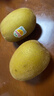 佳沛（zespri）新西兰 阳光金果25-27粒原箱特大果单果124-146g 猕猴桃水果礼盒 实拍图