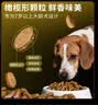 冠能狗粮7岁以上老年犬狗粮10kg 全价狗粮 赋聪配方【宠物金选】 实拍图