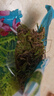 花大师青苔水苔蝴蝶兰专用土干苔藓兰花营养土植料盆栽铺面天然种植透气 特优青苔200g 长绒苔藓 散开12升 实拍图