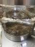猴王牌金猴王茉莉花茶共252g特级茶叶茉莉绿茶（6号100g*2+6号52g）冷泡 实拍图