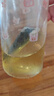 乐品乐茶茶叶茉莉绿茶袋泡茶特级茉莉花茶包饮品自己喝冷泡茶试喝装3g 实拍图