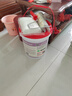 雨虹防水房屋顶防水涂料 防水胶补漏材料裂缝渗水耐高低温防冻晒室外堵漏 实拍图
