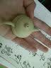 瓷牌茗茶具（cipaiming teaset）瓷牌茗 迷你紫砂茶壶指尖壶茶宠茶玩可养袖珍小茶壶功父亲节礼物 段泥（仿古）指尖壶 实拍图