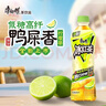 康师傅低糖茶饮料 低糖高纤鸭屎香冰红茶 900ml*8瓶 实拍图