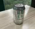 九支麦穗原浆精酿啤酒320ML*24罐整箱礼盒装京东自营聚会九洛克信阳毛尖 实拍图