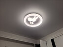 雷士（NVC）LED照明吸顶灯儿童灯卧室高显照明氛围装饰童趣健康护眼小兔赏花 实拍图