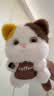威尔通（WELTSTON）猫咪毛绒玩具公仔玩偶抱枕送送女生朋友生日礼物女包猫屎咖啡摆件 实拍图