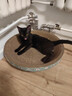 疯狂的主人 猫抓板窝特大号猫玩具猫爪板猫抓盆不掉屑猫窝碗形圆形瓦楞纸 实拍图