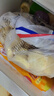 凯达薯业圆薯饼香脆原切冷冻2kg/袋薯条半成品 空气炸锅早餐食材预制菜 实拍图