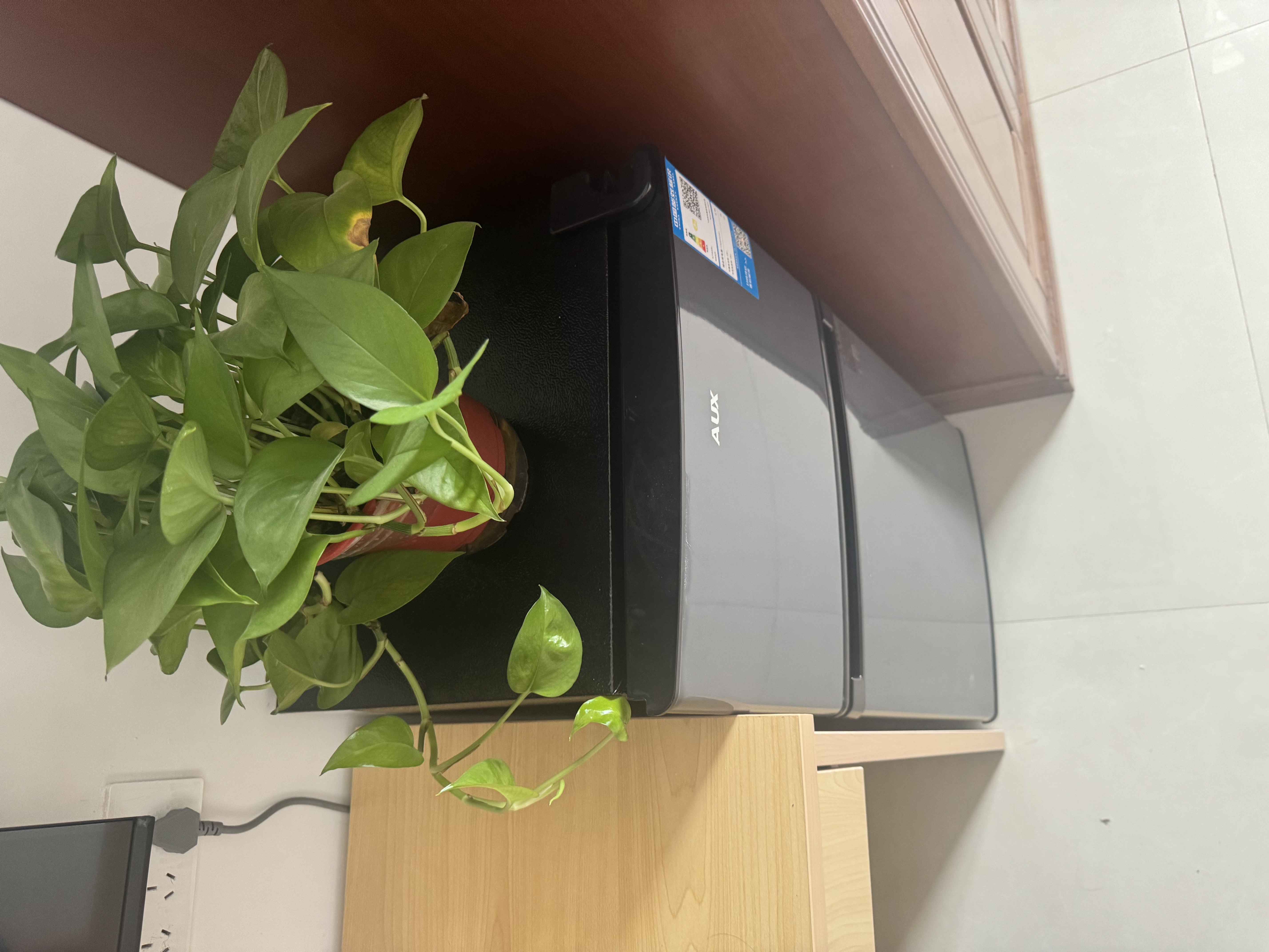 奥克斯家用双门迷你小型冰箱 冷藏冷冻保鲜小冰箱 宿舍租房节能电冰箱 【节能省电】176灰【高效保鲜 铜管速冷】56L 实拍图