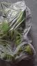 广西网红小米蕉青香蕉发货密封放熟吃新鲜水果皮薄肉厚 净重5斤青蕉发货 实拍图