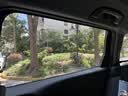 威固（V-KOOL）【原装进口】新能源汽车贴膜灵悦PRO系列 全车玻璃膜隔热膜防晒膜太阳膜防爆膜 国际品牌 实拍图