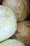 山东新鲜甘蓝包菜卷心菜圆白菜新鲜嫩绿莲花白现摘现发早餐减脂 新鲜包菜 2.8斤净重 人工挑拣 实拍图